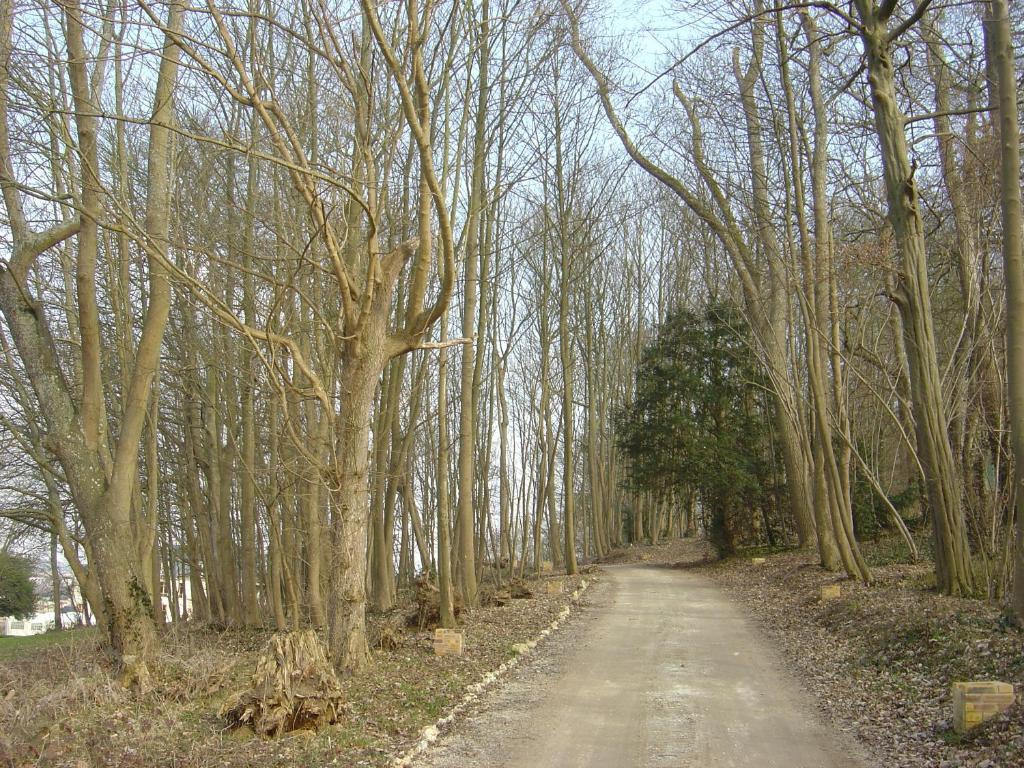 Chateau Du Jard Chaumont-en-Vexin Buitenkant foto